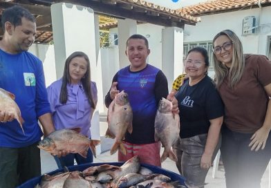 DISTRIBUIÇÃO DE PEIXES E CESTAS BÁSICAS